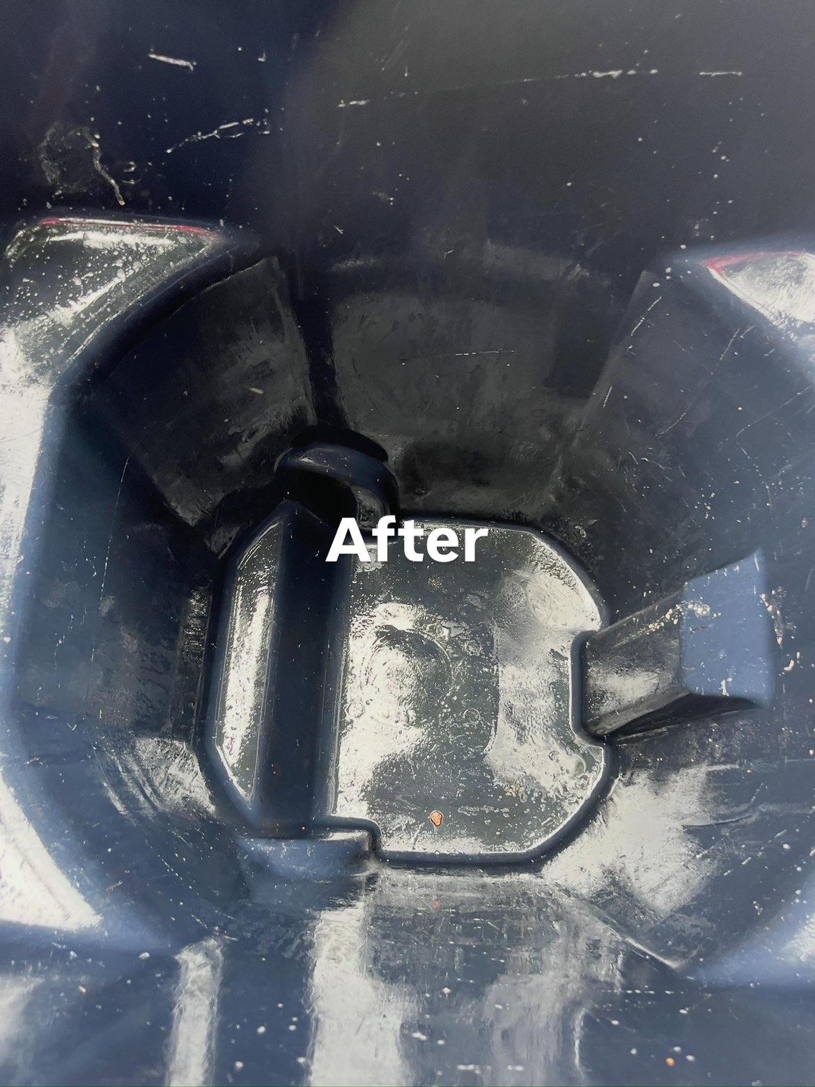 Trash Bin Sanitation — after