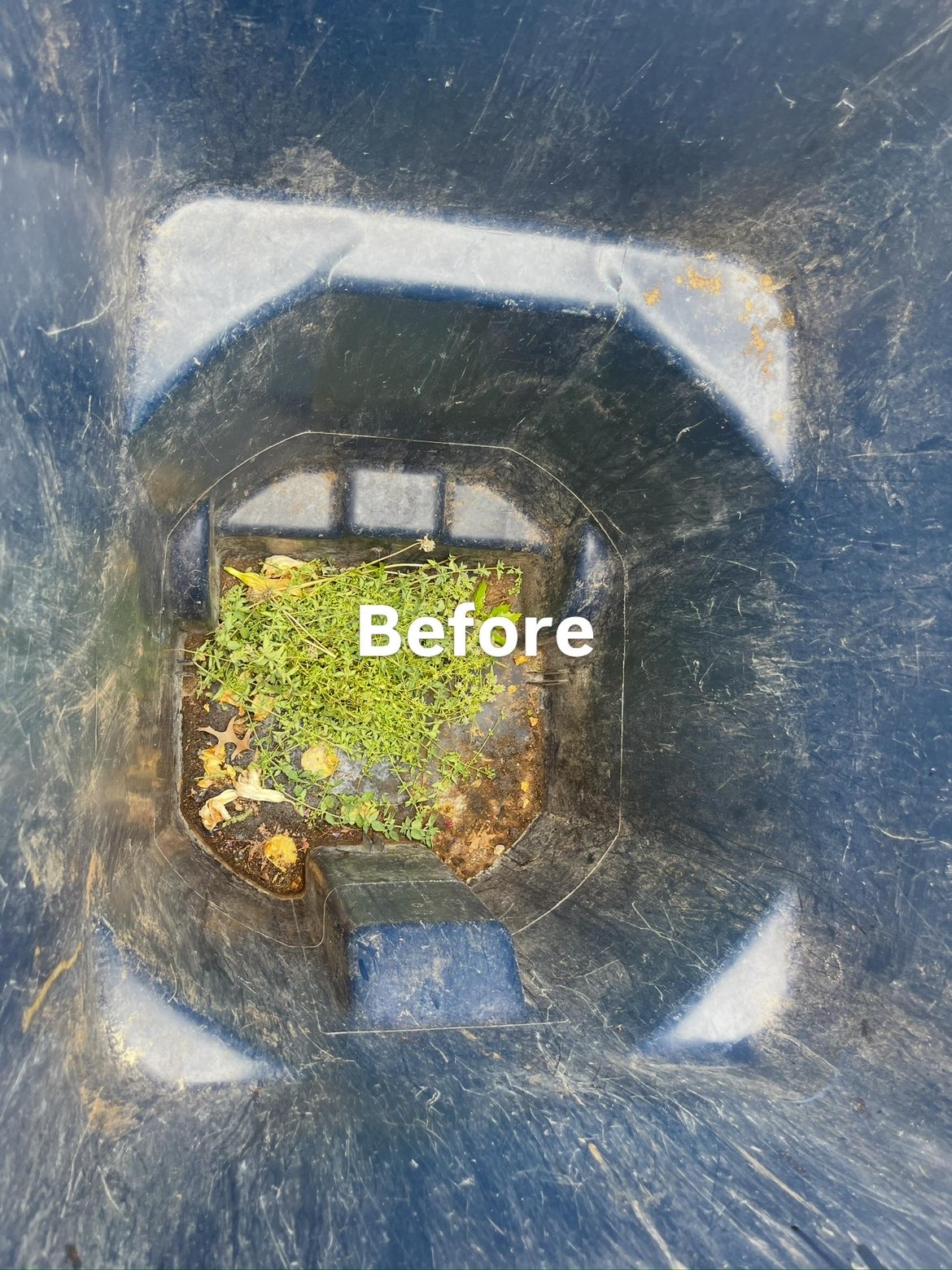 Trash Bin Sanitation — before